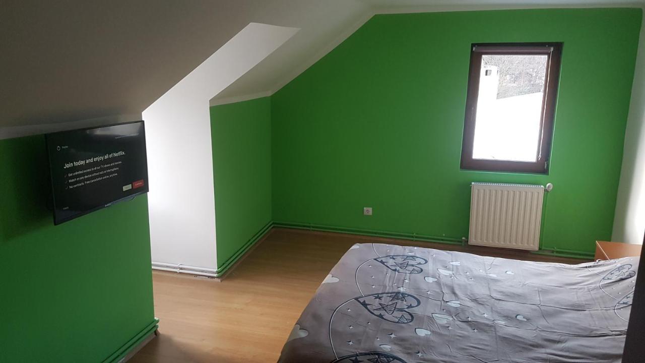 Apartament Greenstar Сіная Екстер'єр фото