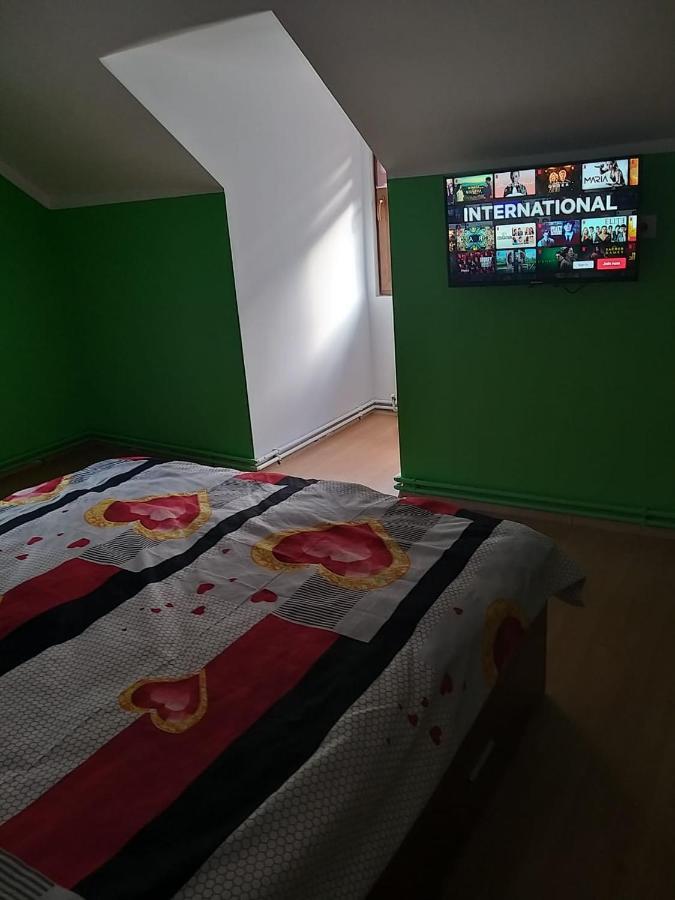 Apartament Greenstar Сіная Екстер'єр фото